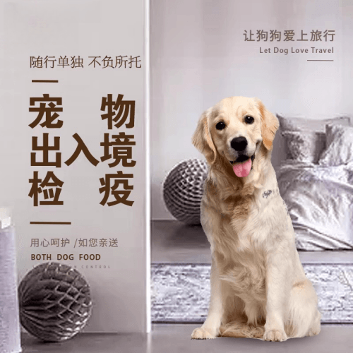 金昌市宠物托运到哥伦比亚猫狗宠物入境规定和