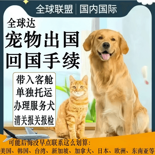 金昌市宠物托运到柬埔寨宠物入境规定和要求